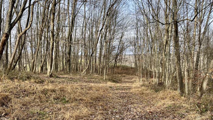 Clearing used for equipment staging