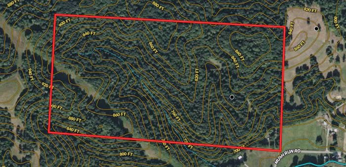 Forest drainage area with natural terrain