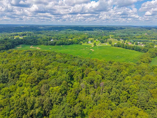 Homestead site with multiple barns