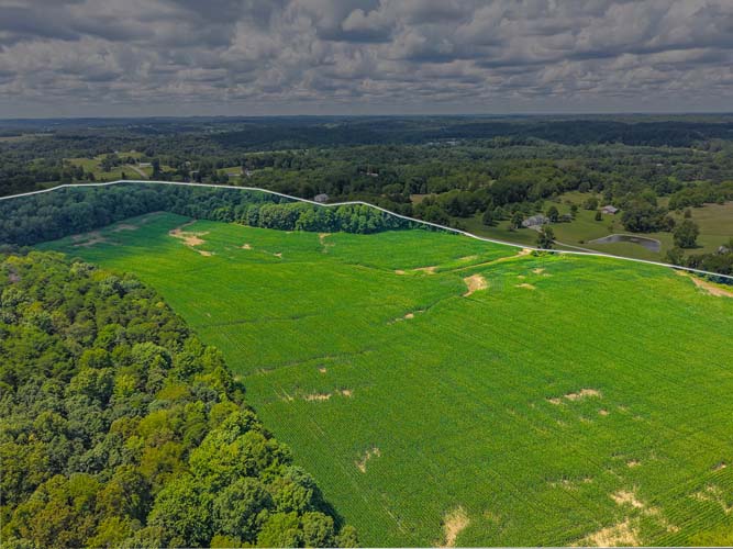 Wooded acreage with trails