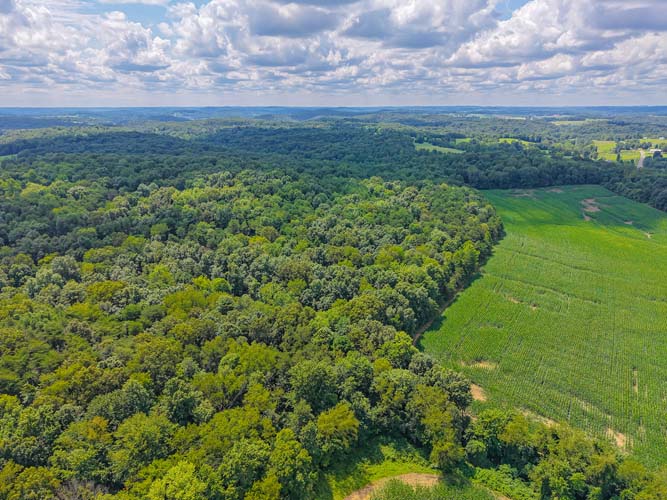 Hunting land with natural cover