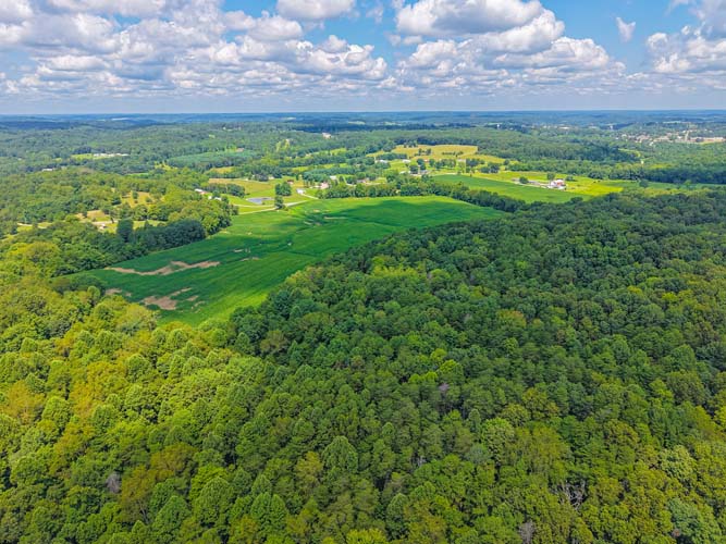 Trail through farm woods