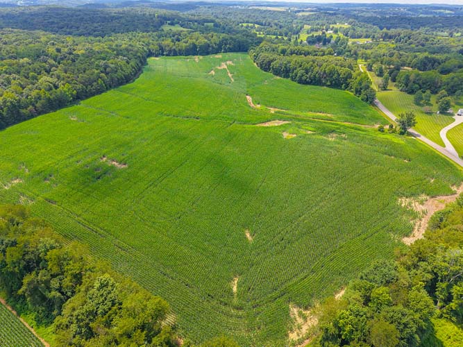 170 acre Gallia County farm for sale