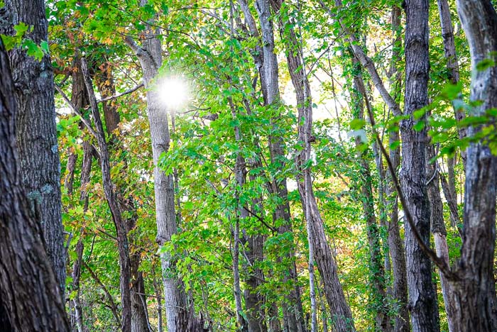 Nearly one mile of road frontage