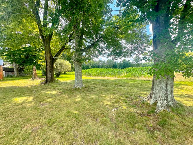 Farmland with gentle elevation