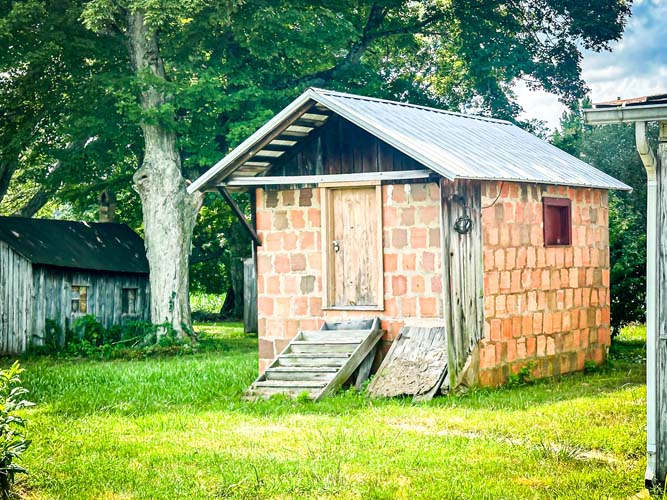 Timber stand with tall trees