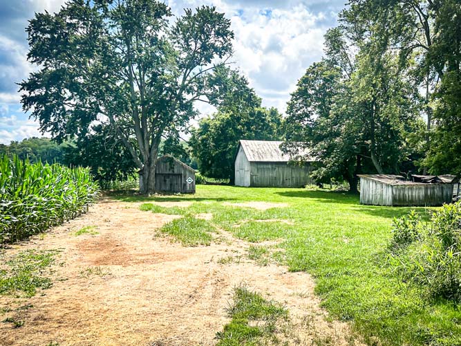Wildlife habitat woods and fields
