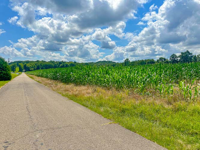 Historic farmhouse side view