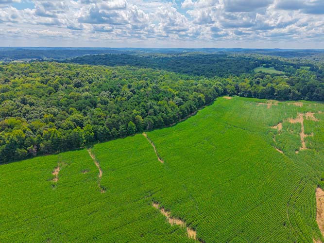Aerial view of farmland and woods