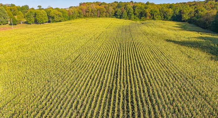 Gallia County farm aerial photo