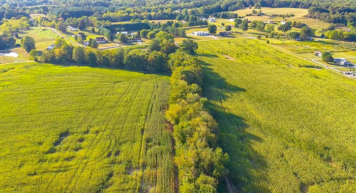 Farm road entrance to property