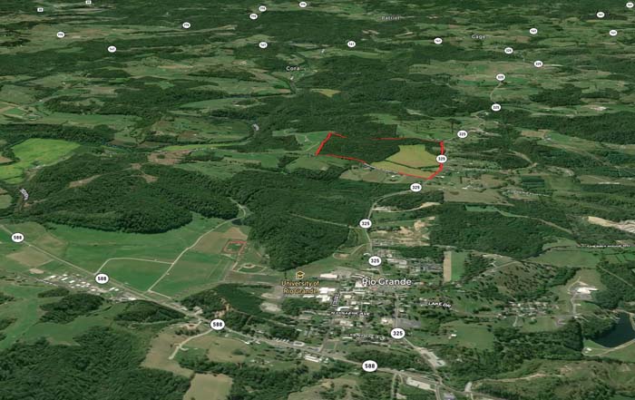 Field edge into woods