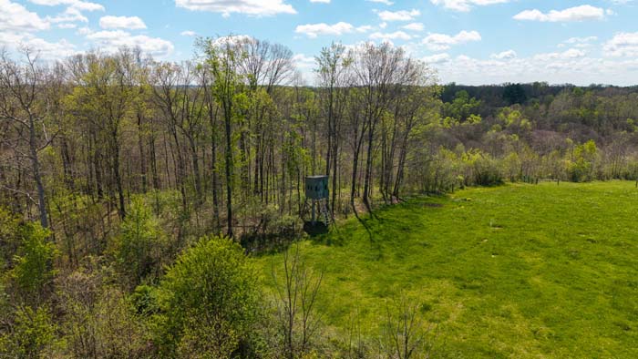 Secluded timber with potential cabin site