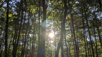 5.012 Acres for Sale
