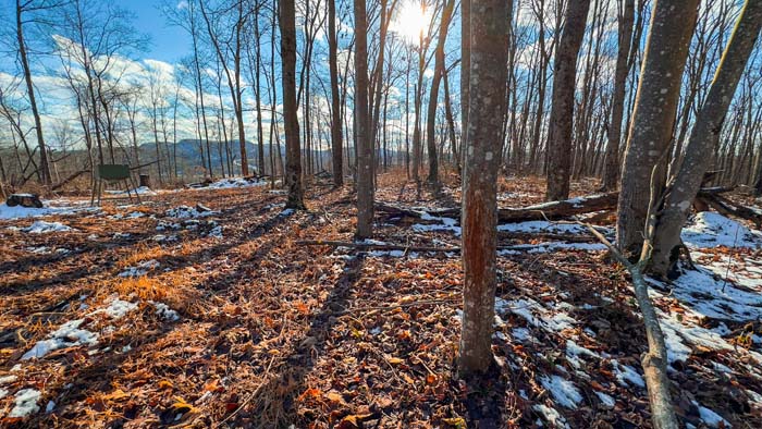 Aerial view of 51-acre hunting property in Pike County