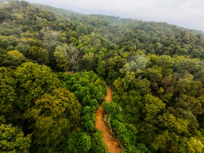 Open field suitable for pasture or hobby farm