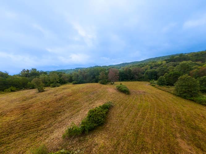 Elevated parcel with privacy and potential