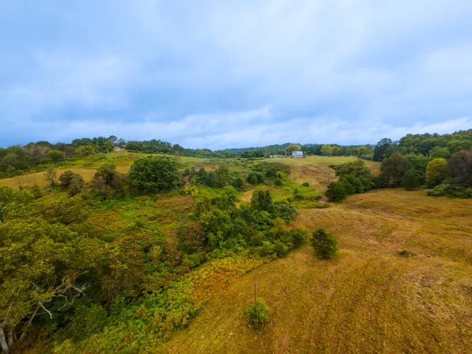Field ready for small livestock or homesteading