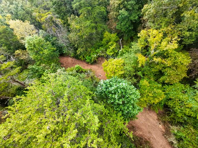 Grassy rise perfect for house or barn placement