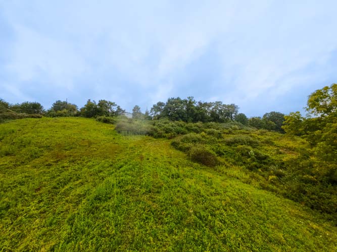 Scenic parcel with driveway-ready access point