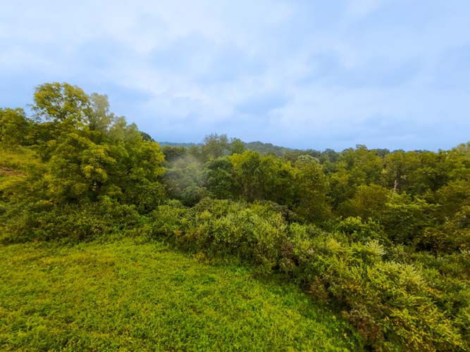 Wide open land with residential development potential