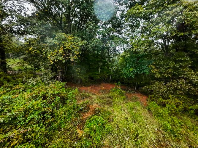 Parcel 2 wooded trail entrance with immediate road access