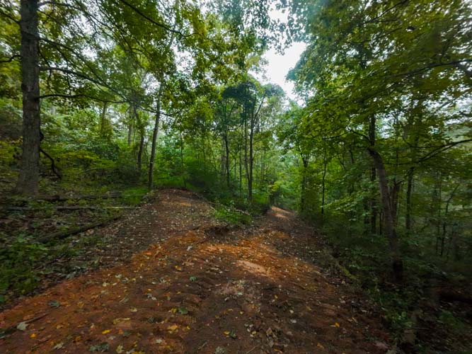 Woodland parcel ideal for cabin or weekend retreat