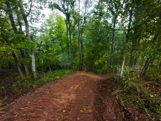 Long trail through quiet Appalachian hardwood forest