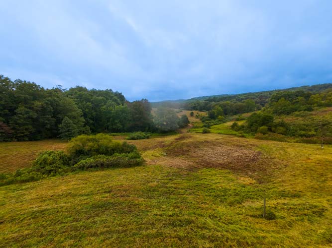 Scenic forest ideal for turkey and deer hunting