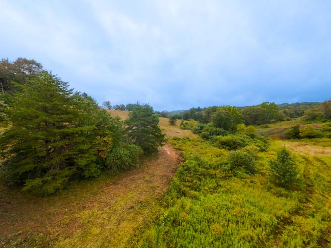 Tucked-away trails for hiking or wildlife viewing