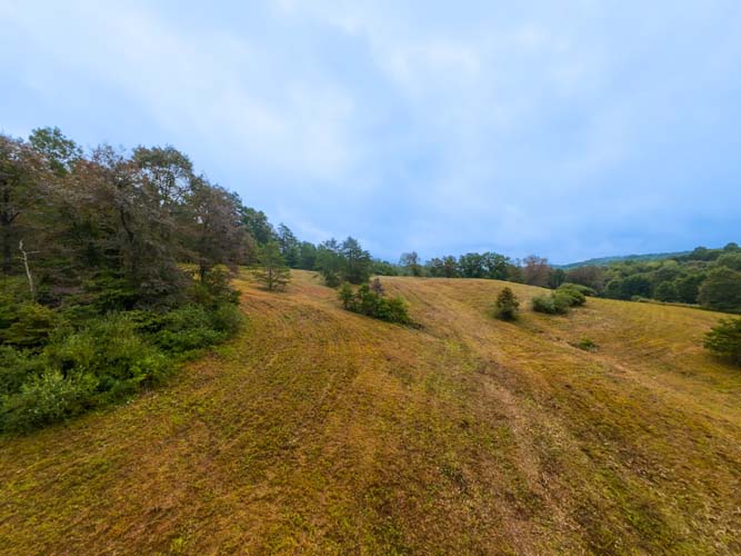 Heavily wooded tract in southern Ohio