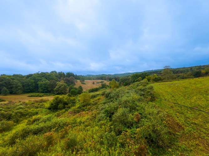 Trail bisecting hillside for hunting or ATV use