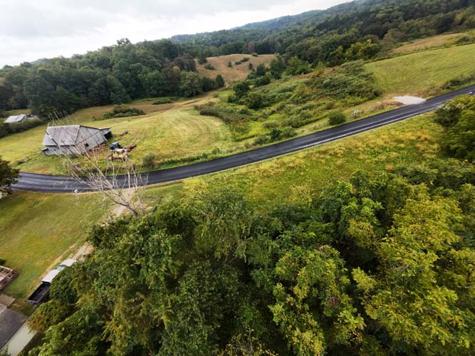 Timber value and wildlife diversity on Parcel 2