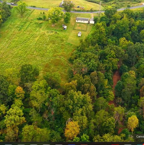 Woodland setting for cabin, hunting, or hiking use