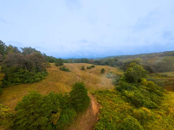 Rolling wooded terrain with diverse cover