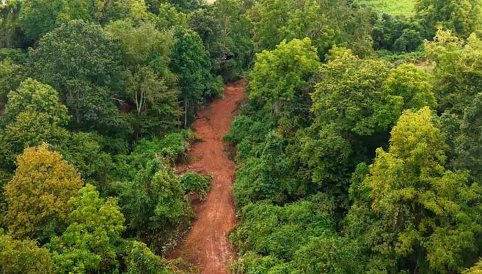 Hardwoods and hollows with natural terrain variation