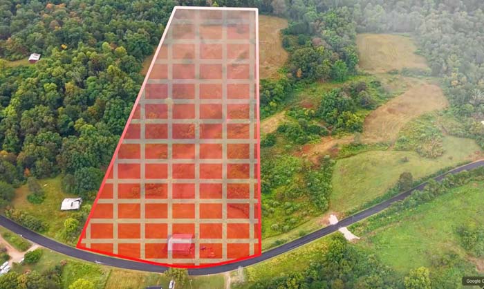 Diverse vegetation supporting Southeast Ohio wildlife