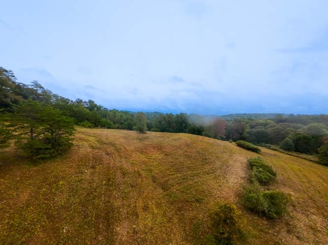 Trail corridor perfect for ATV or deer stand access