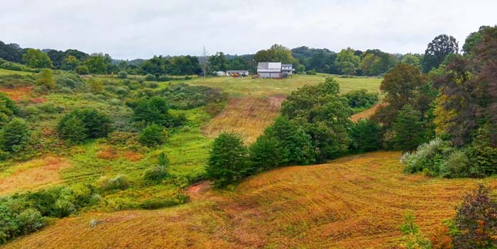 Open timber pocket with clear shooting lanes