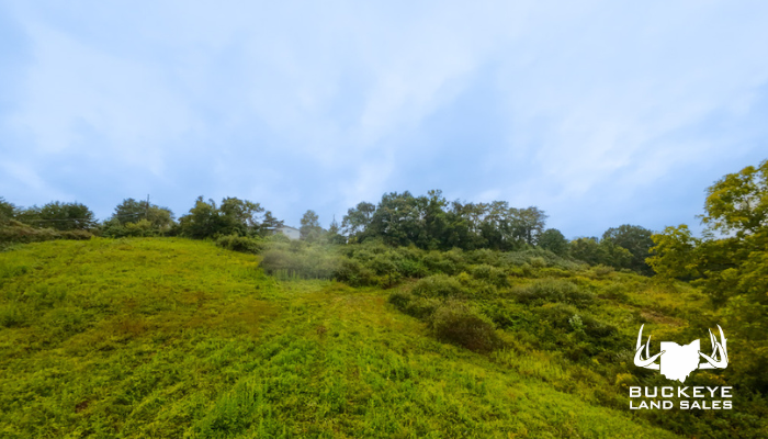 9.5+/- Acre,  Little Hocking, Ohio