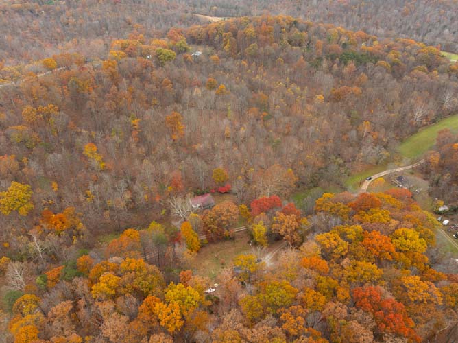 Wooded draw and hillside on 24 acre Ohio tract