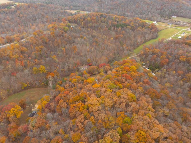 Varying terrain with open and wooded mix