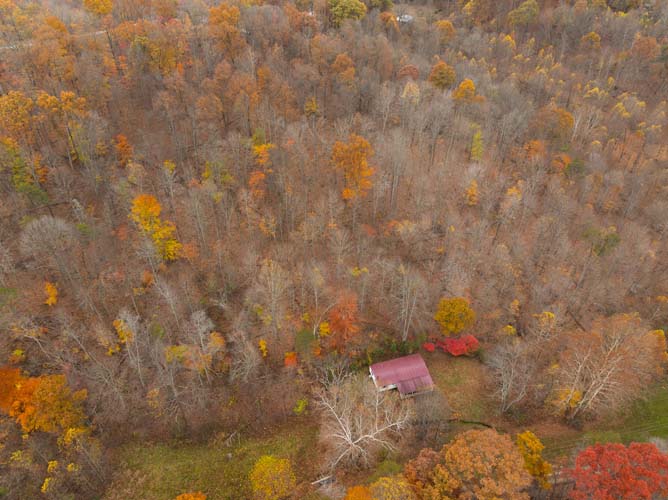 Trail access through wooded hillside