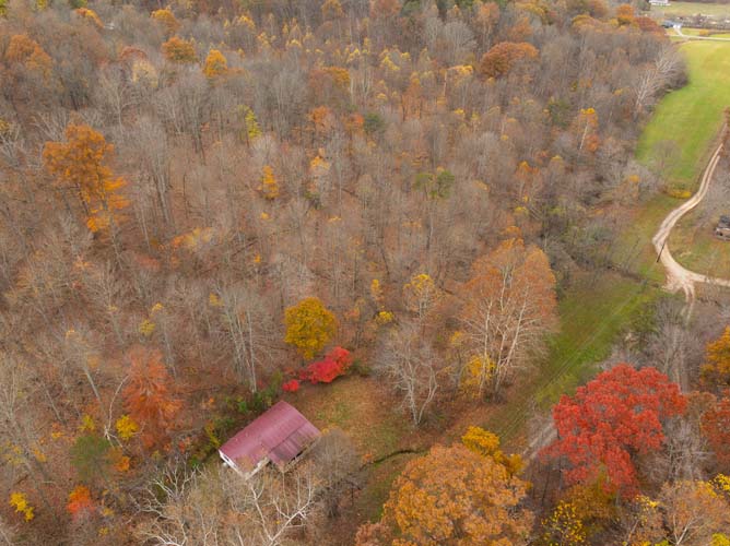Wildlife habitat and bedding cover on Bliss Road land