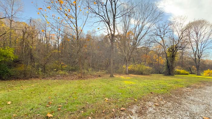 Wooded slope ideal for hunting in Ohio