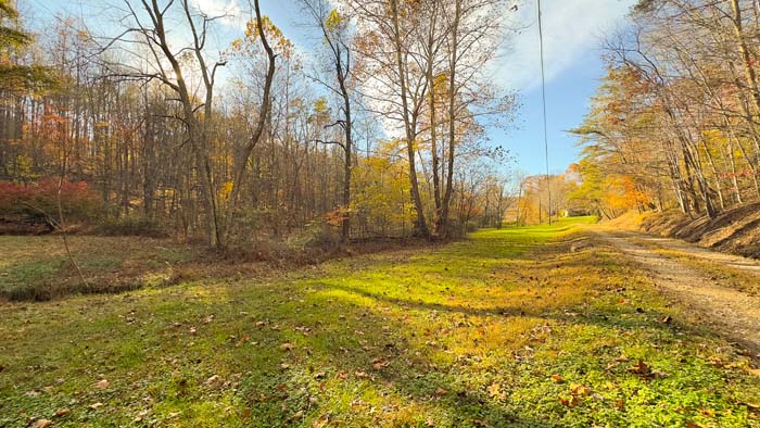Dense hardwood timber on southern Ohio land