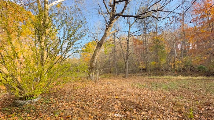 Flat ground near roadside access on Bliss Road