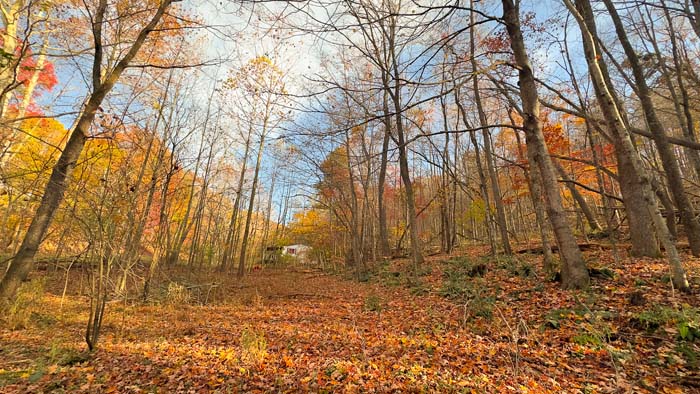 Blend of open land and wooded slopes