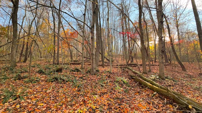 Southern Ohio property ideal for hunting camp