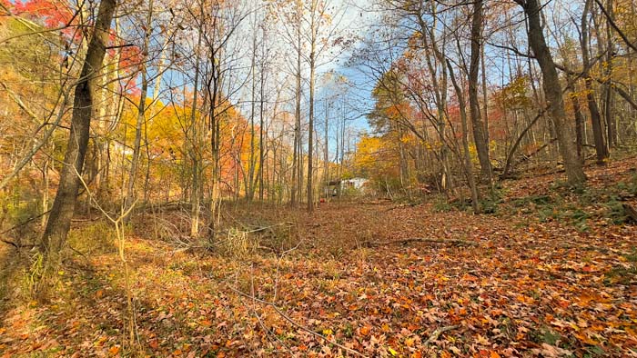 Rural 24 acre tract in Union Township Ohio